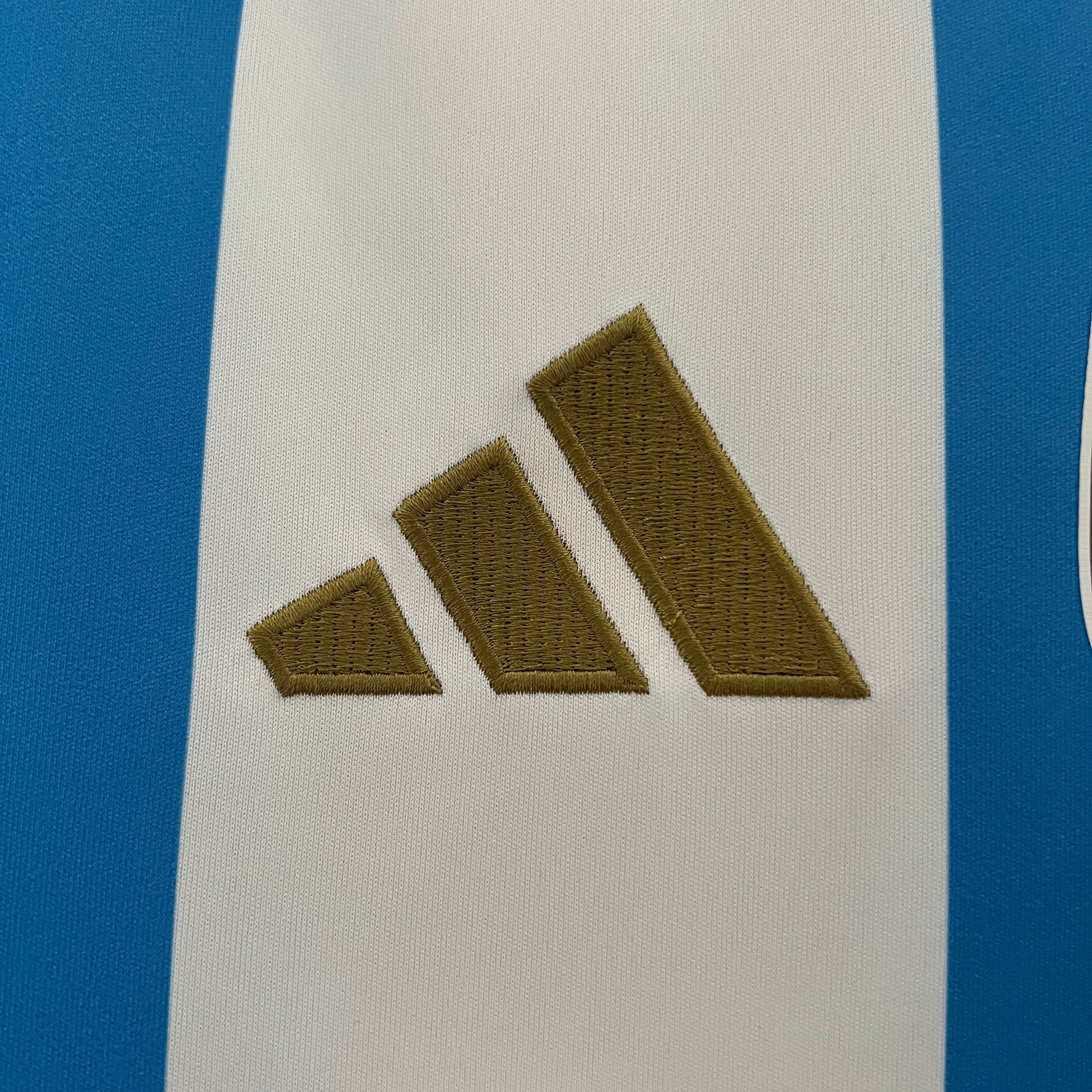 Argentina 2024 Local