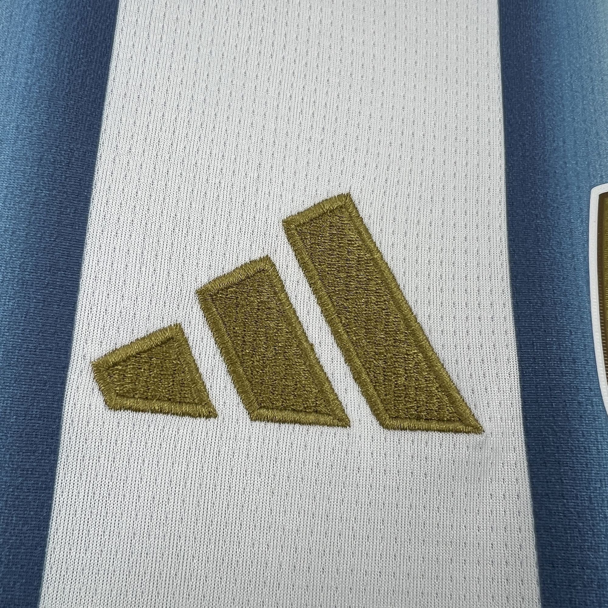 Argentina 2026 Local