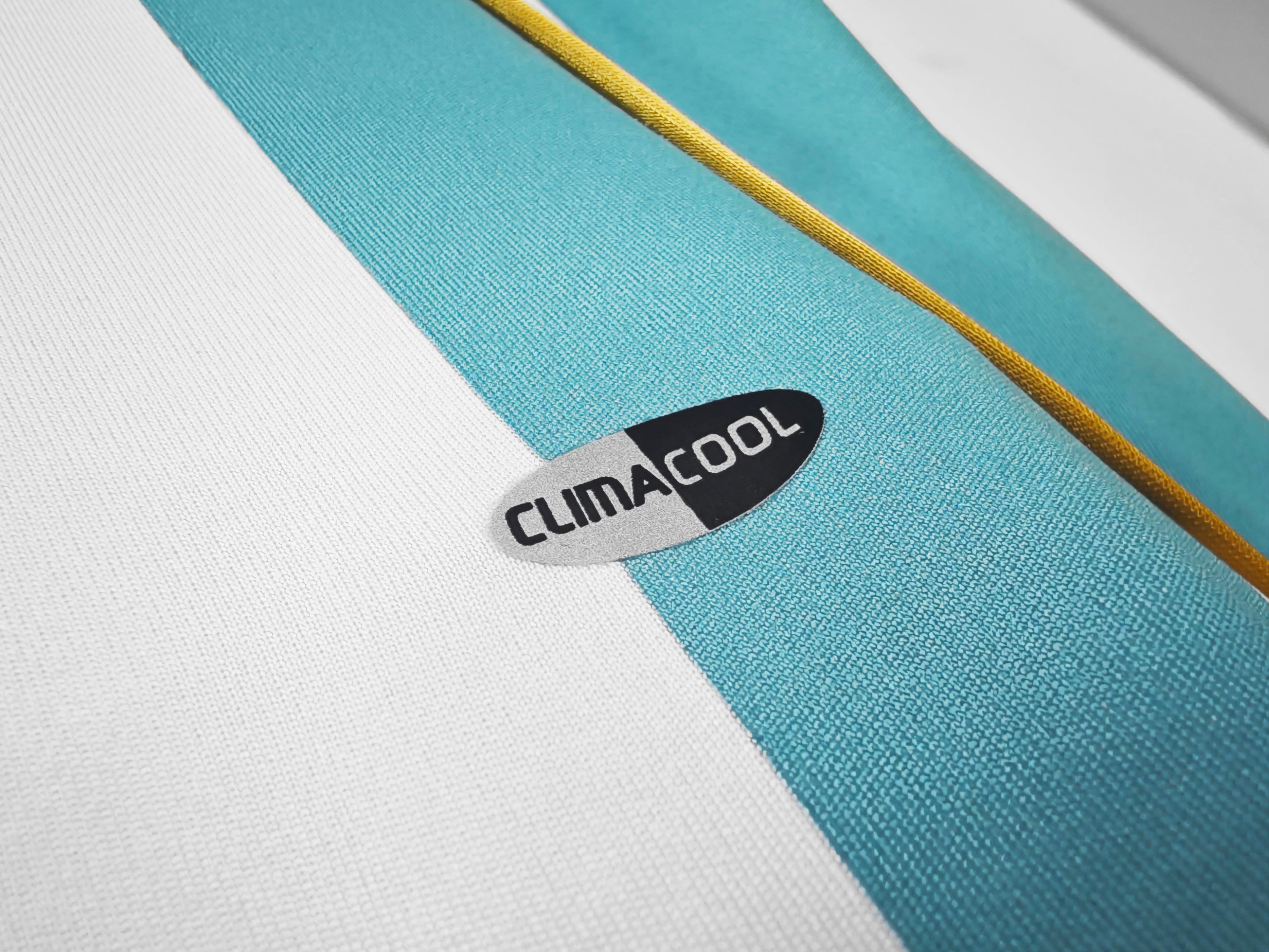 Argentina 2006 Local