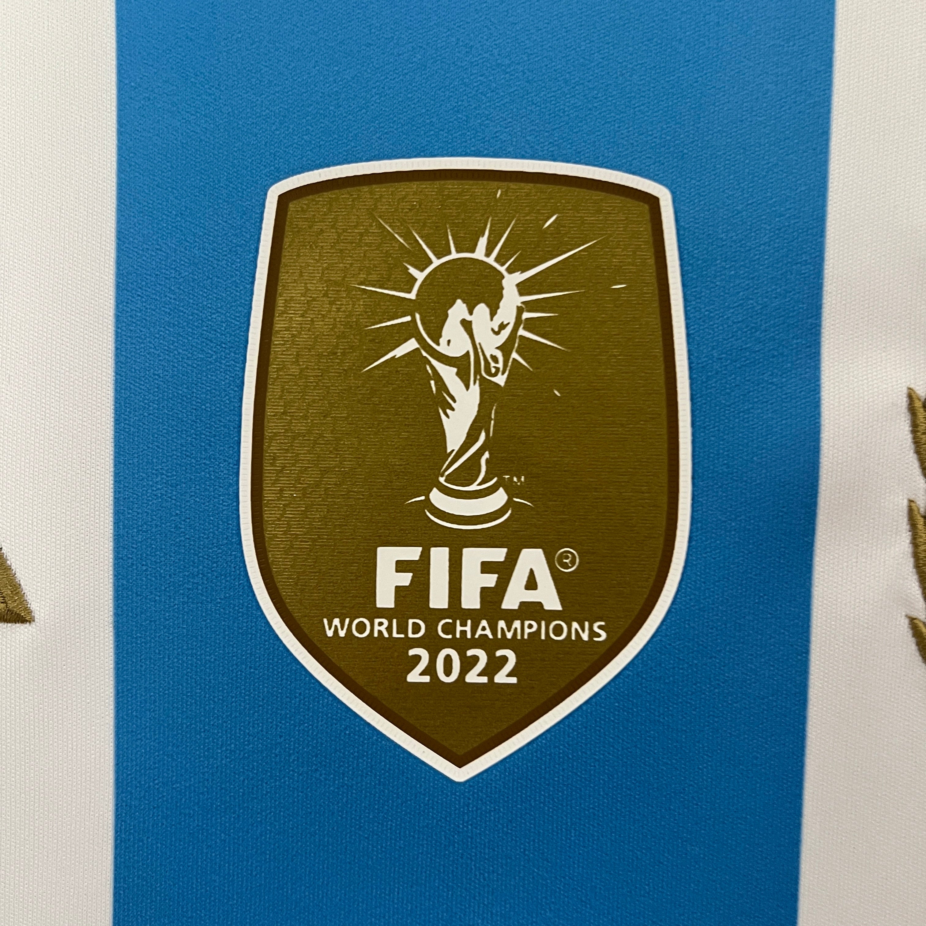Argentina 2024 Local